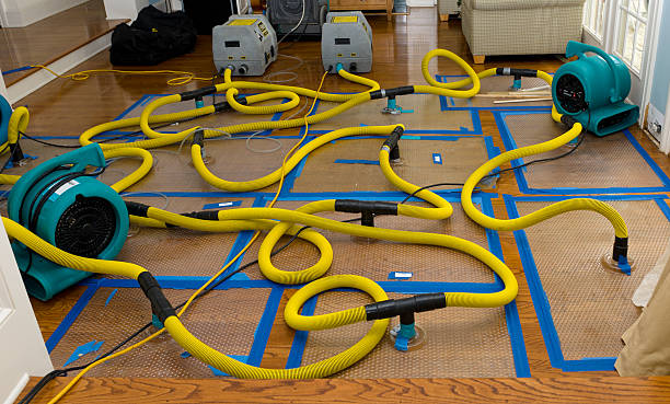 Professional Basement Flood Cleanup technician working in Saint Helen, MI