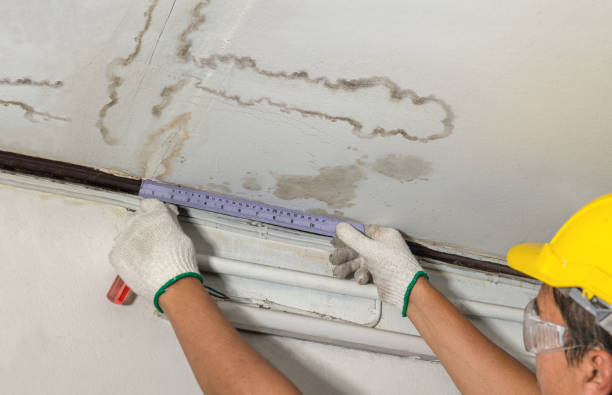 Affordable Basement Flood Cleanup solutions in Saint Helen, MI